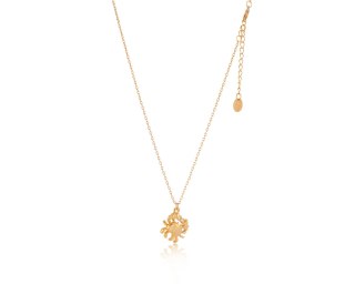 Naszyjnik krabik na łańcuszku z kolekcji Aqualessia (C24/AQUA/03AU)