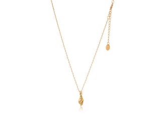 Naszyjnik muszelka na łańcuszku z kolekcji Aqualessia (C24/AQUA/08AU)