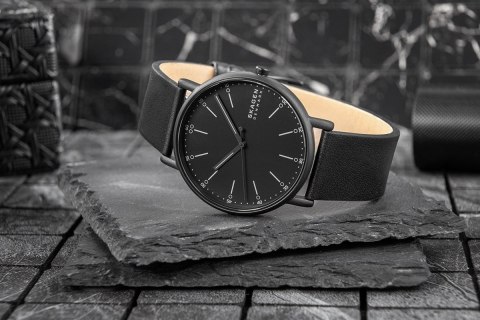 Zegarek Męski Skagen Signatur SKW6902 + BOX