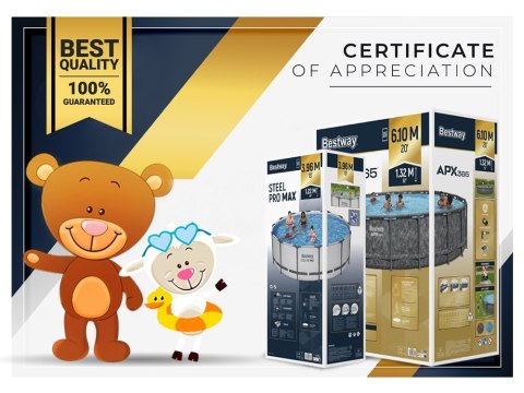 Bestway Basen STELAŻOWY 300x201x66cm 8w1 56411